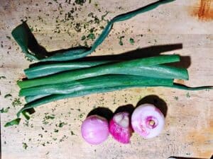 green onions and red onions on a cutting board.