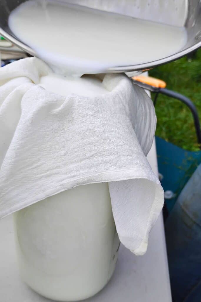 fresh milked goats milk is getting filtered and poured into a tall glass jar.