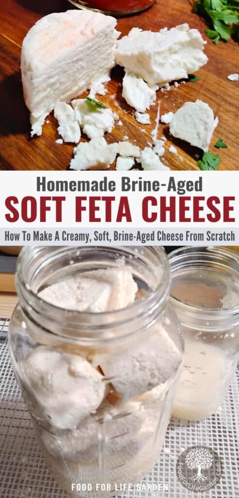 photo at the top shows a piece of feta cheese broken into chunks. below is a large jar filled with feta chunks ready to get brined. text overlay reads white brine-aged soft feta cheese. how to ake a creamy soft brine-aged cheese from scratch. food for life garden.
