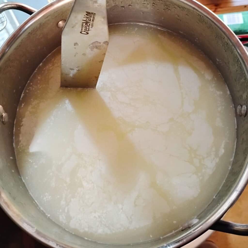 a pastry knife is cutting the cheese curd in a pot.