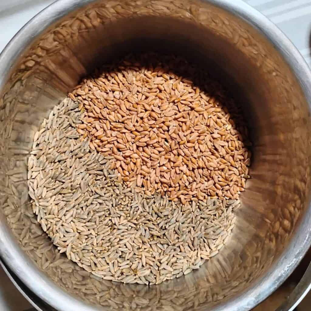 raw rye and spelt grains in a pot.