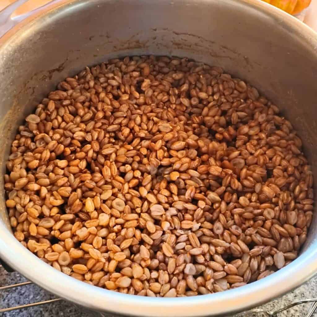 cooked grains in a pot