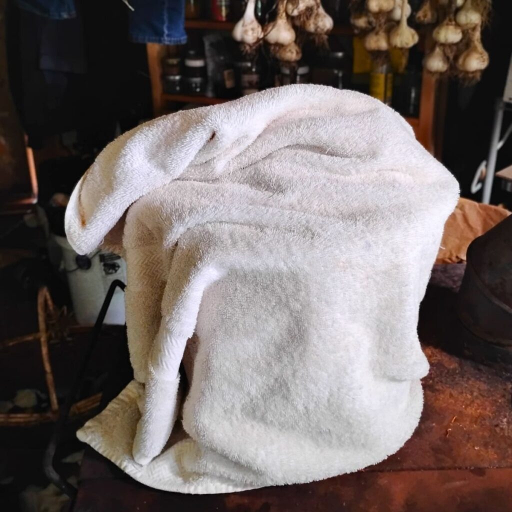 pot of milk that is covered with a thick, large towel.