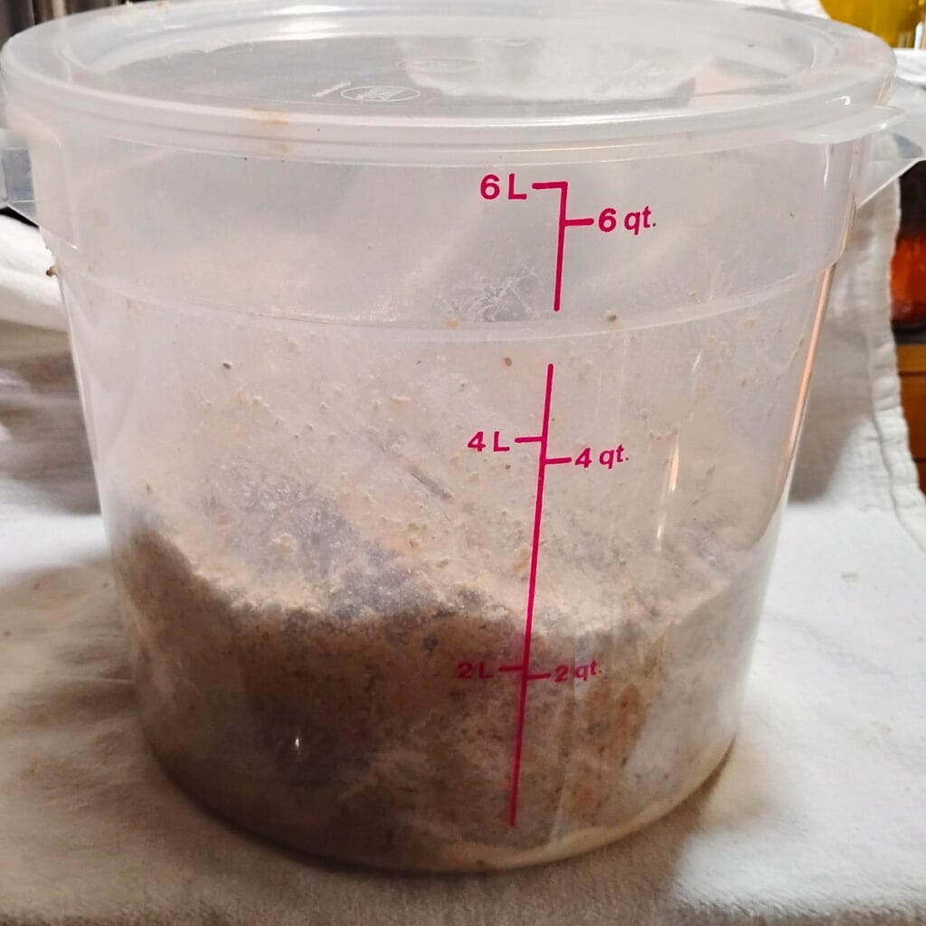 photo of a seeded rye bread dough in a plastic bucket with lid.