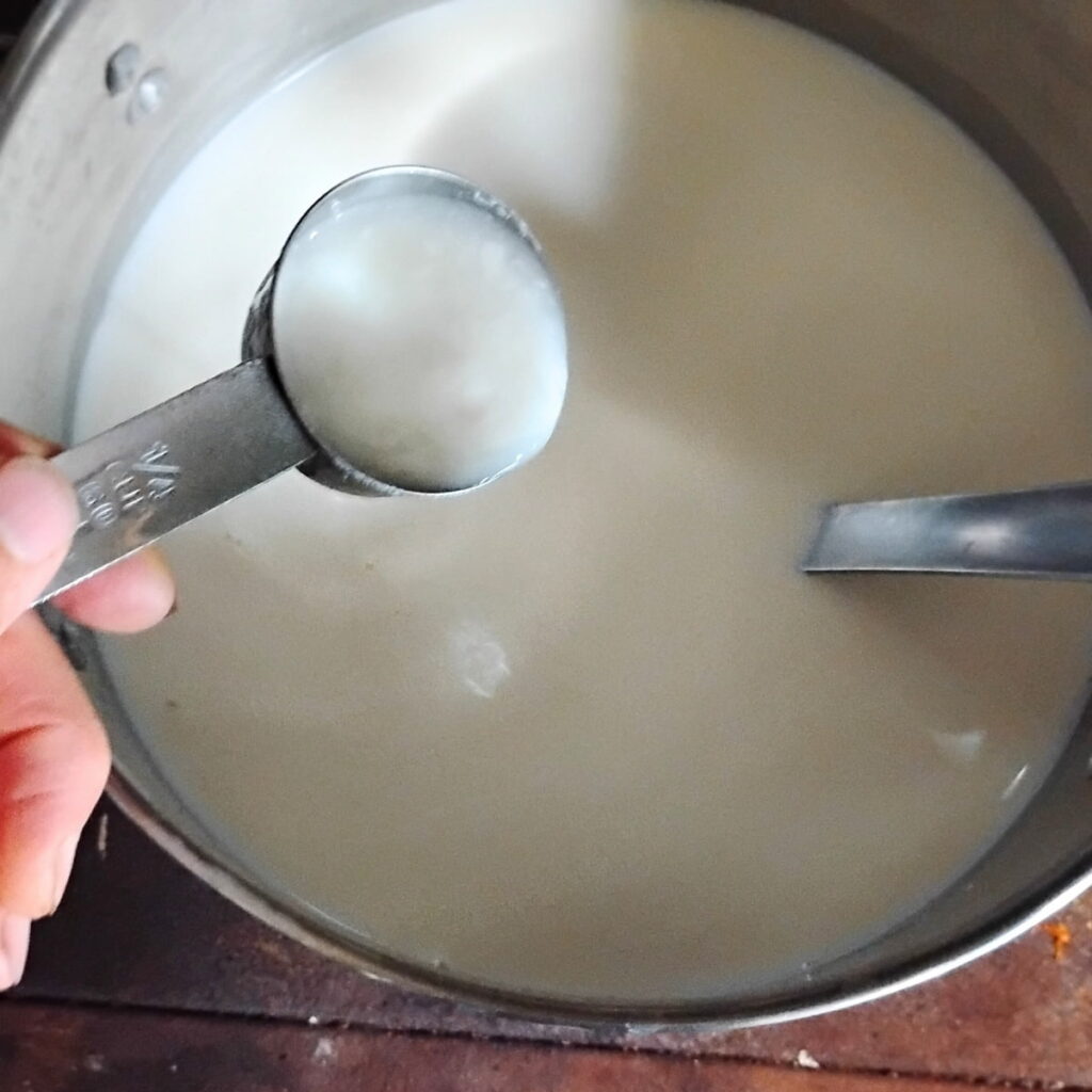 cheese starter culture is added to a pot of warm milk.