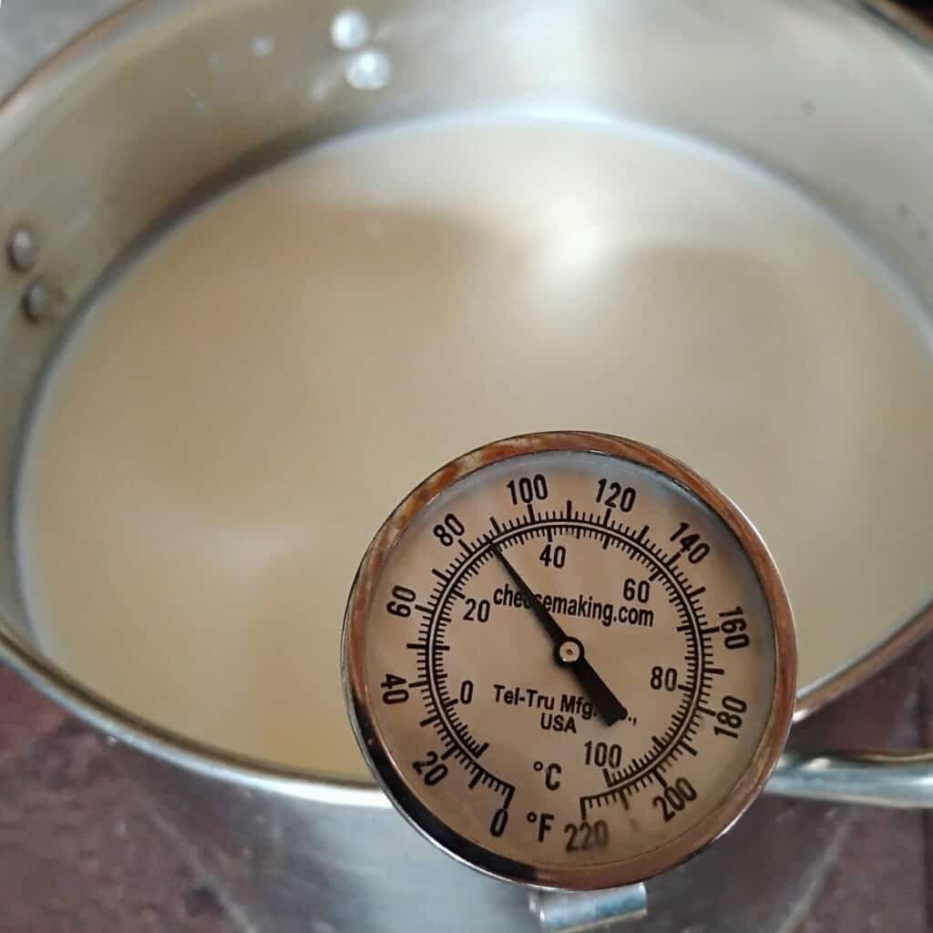 photo shows a thermometer with a temperature of 85 degrees inside a pot full of milk.