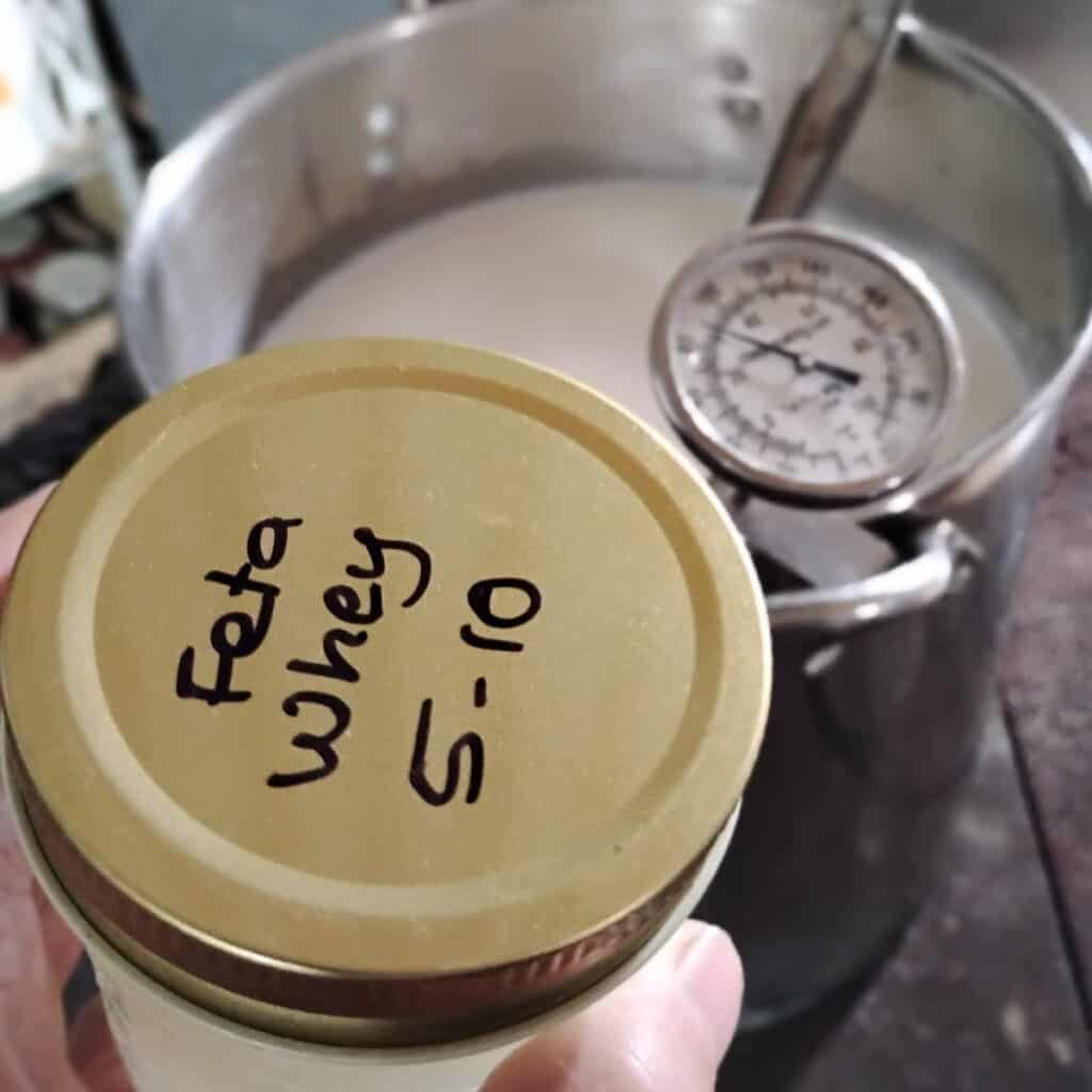photo shows a hand holding a jar filled with feta whey and a pot behind it that is filled with milk and a thermometer in it.