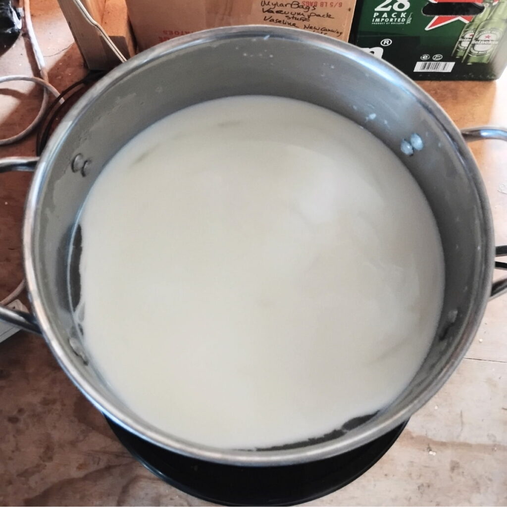a pot full of cheese curd, firmed up milk ready for cutting.