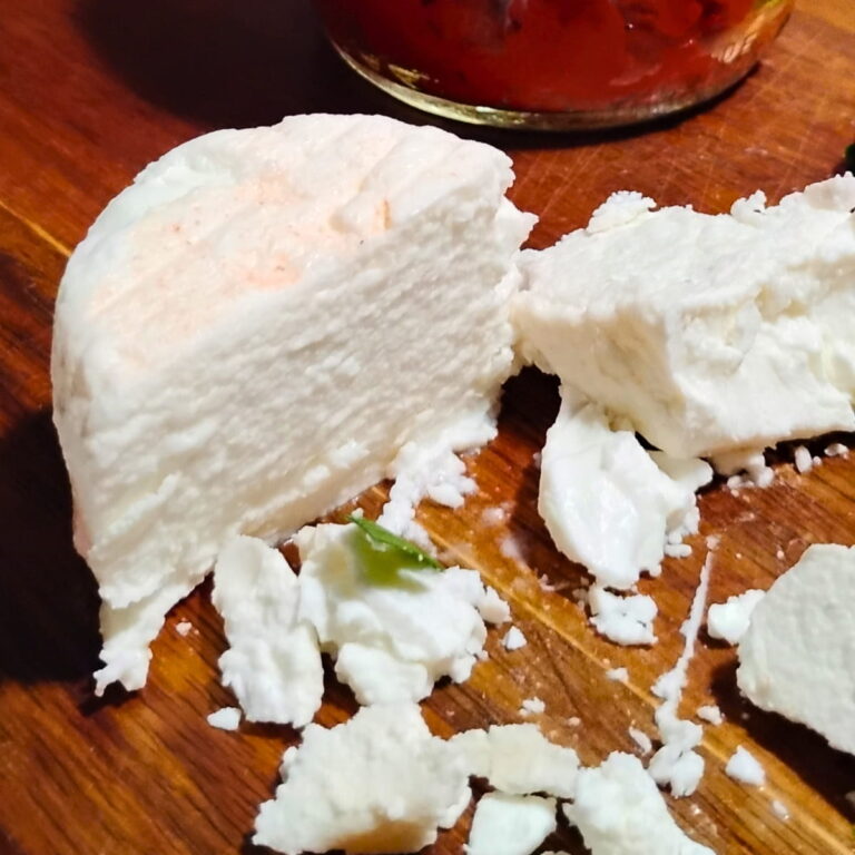 photo of homemade soft feta white brine-aged cheese