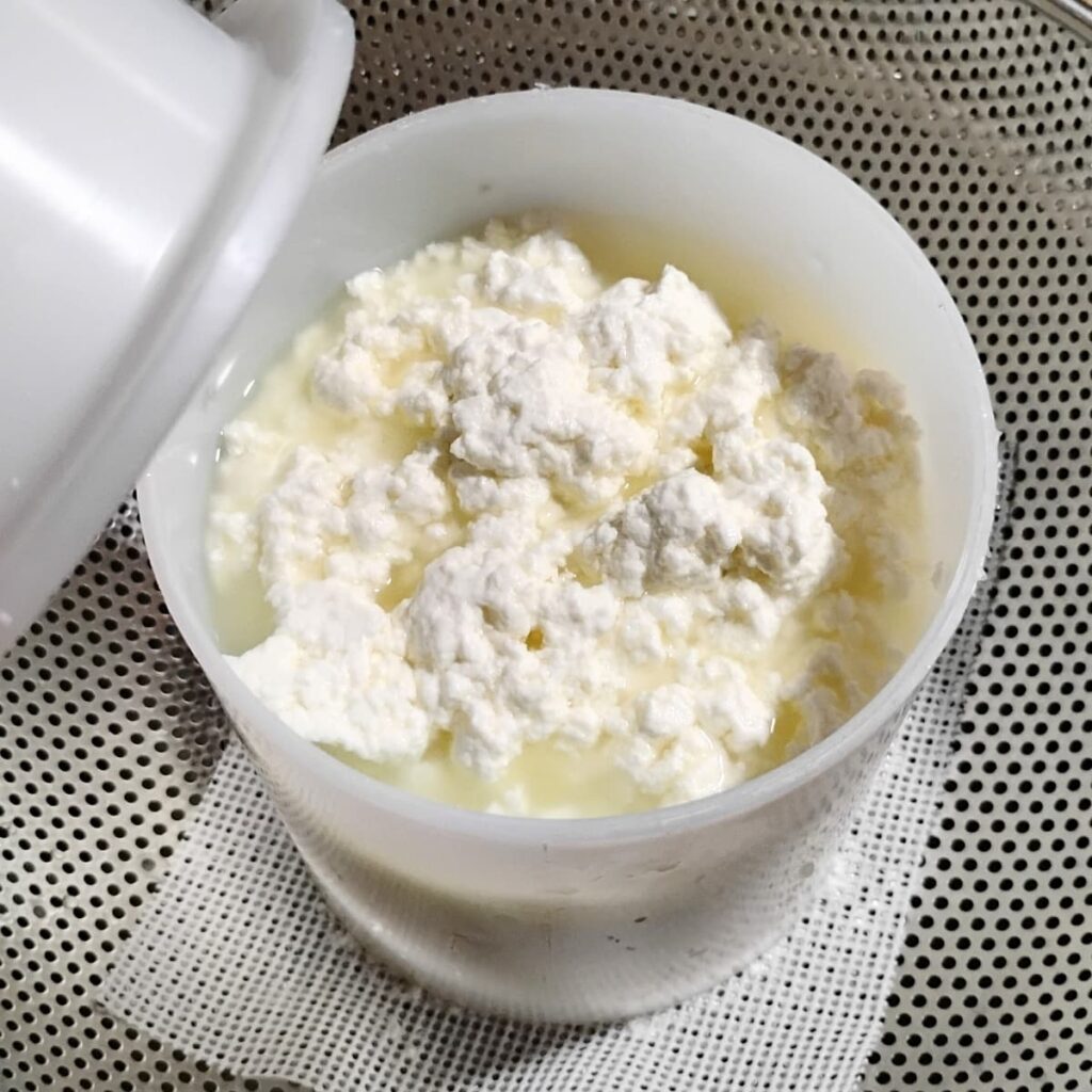 cheese curds that have been dumped into a cheese mold in a colander.