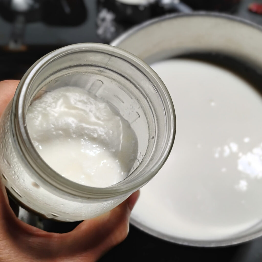 a small jar filled with cheese starter culture in a person's hand. below is a pot filled with warm milk.