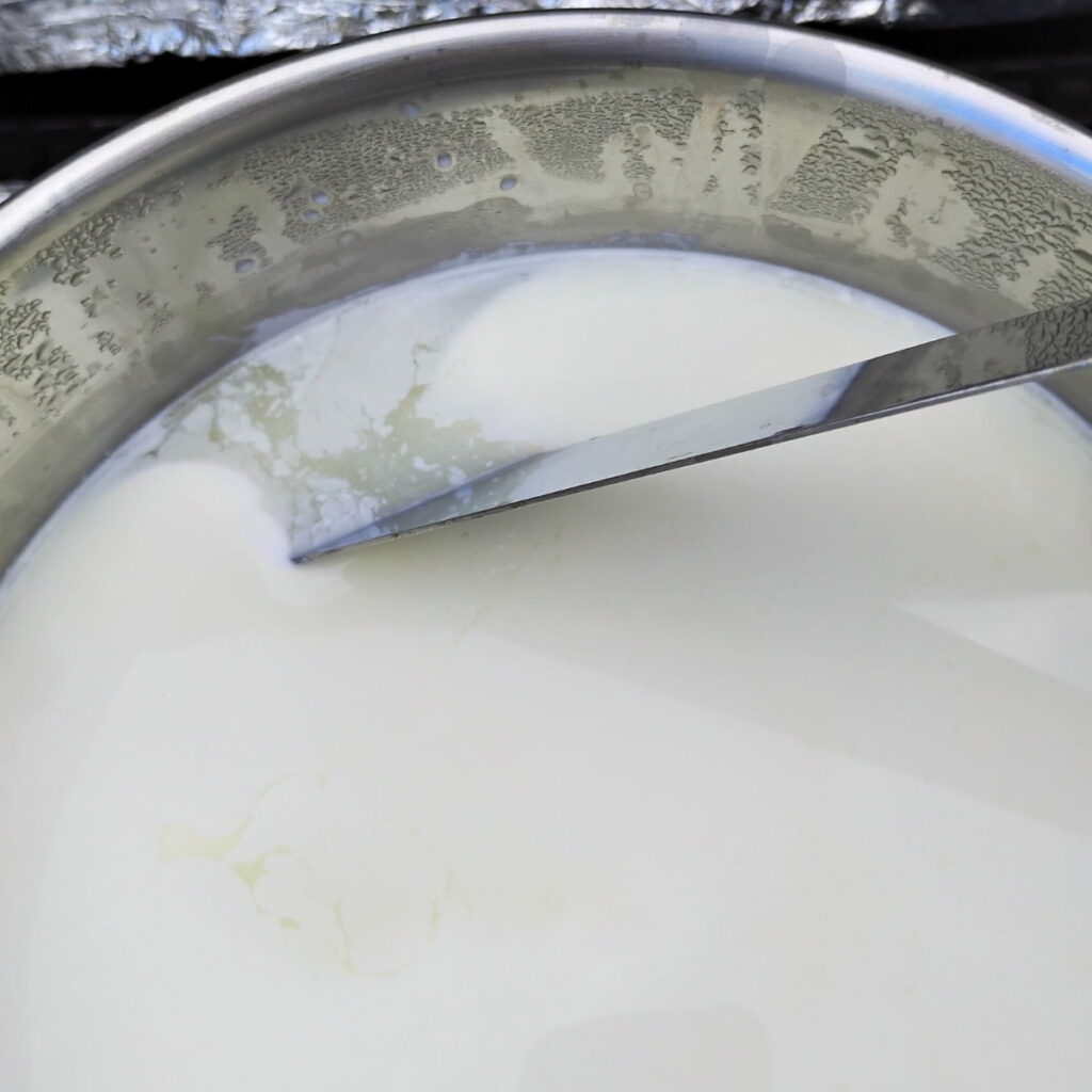 checking the curd for firmness and a clean break.