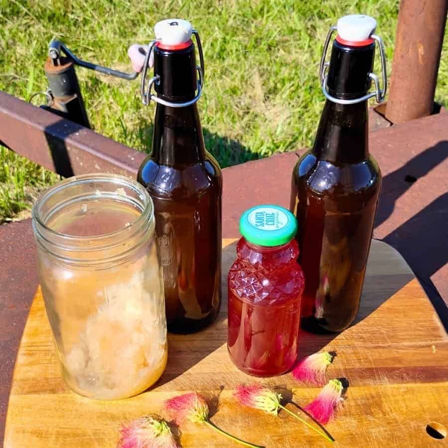 photo shows two dark flip top bottles with a small pint full of mimosa flower syrup and water kefir grains with a few mimosa flowers scattered in front.